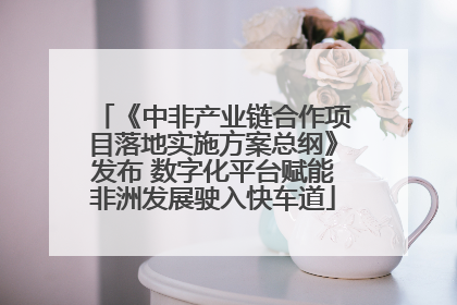 《中非产业链合作项目落地实施方案总纲》发布 数字化平台赋能非洲发展驶入快车道