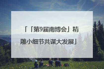 「第9届南博会」精雕小细节共谋大发展