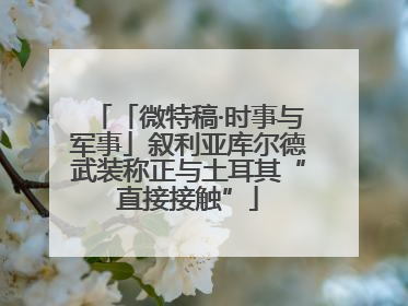 「微特稿·时事与军事」叙利亚库尔德武装称正与土耳其“直接接触”