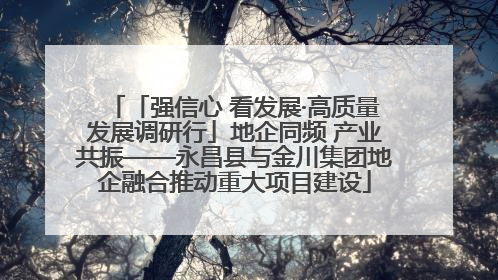 「强信心 看发展·高质量发展调研行」地企同频 产业共振——永昌县与金川集团地企融合推动重大项目建设