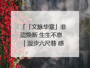 「文脉华章」非遗焕新 生生不息｜漫步六尺巷 感受礼让文化浸润的“巷”往生活