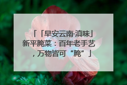 「早安云南·滇味」新平腌菜：百年老手艺，万物皆可“腌”