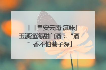 「早安云南·滇味」玉溪通海甜白酒：“酒”香不怕巷子深