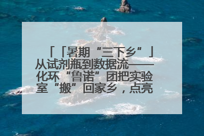 「暑期“三下乡”」从试剂瓶到数据流——化环“鲁诺”团把实验室“搬”回家乡，点亮桑梓求知路