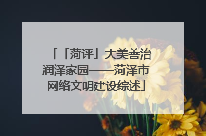 「菏评」大美善治润泽家园——菏泽市网络文明建设综述