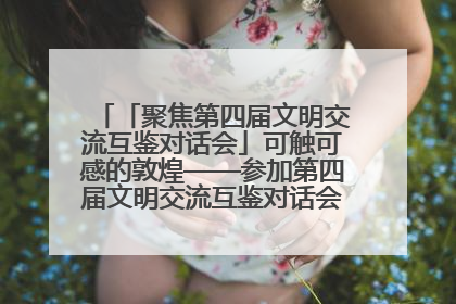 「聚焦第四届文明交流互鉴对话会」可触可感的敦煌——参加第四届文明交流互鉴对话会的外宾参观上元市集