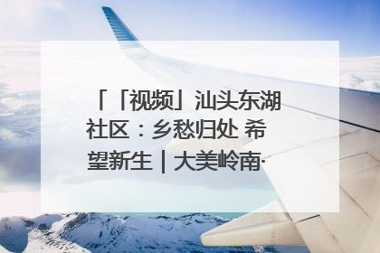 「视频」汕头东湖社区：乡愁归处 希望新生｜大美岭南·百村焕新记