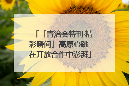 「青洽会特刊·精彩瞬间」高原心跳 在开放合作中澎湃