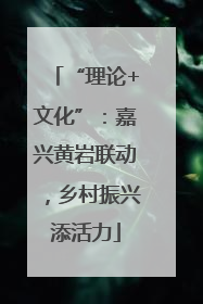 “理论+文化”：嘉兴黄岩联动，乡村振兴添活力