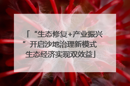 “生态修复+产业振兴”开启沙地治理新模式 生态经济实现双效益