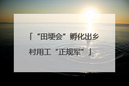 “田埂会”孵化出乡村用工“正规军”
