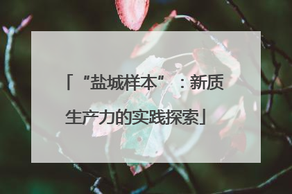 “盐城样本”：新质生产力的实践探索