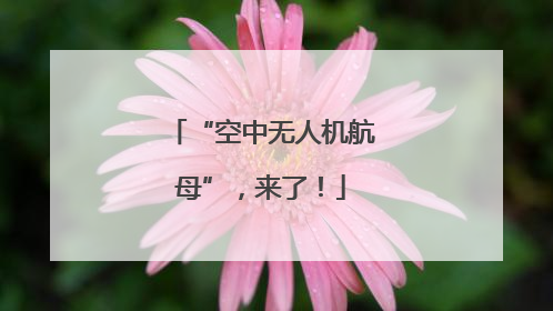 “空中无人机航母”，来了！