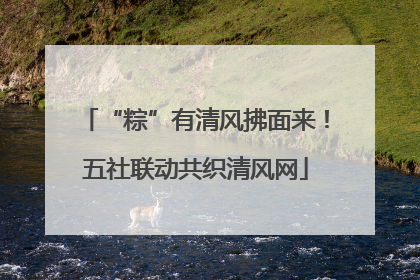 “粽”有清风拂面来！五社联动共织清风网