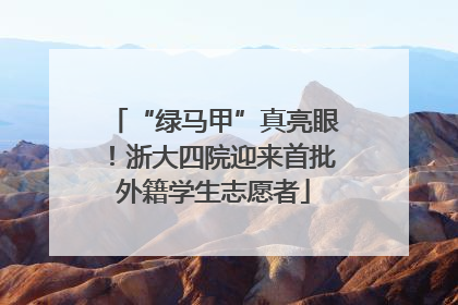 “绿马甲”真亮眼！浙大四院迎来首批外籍学生志愿者