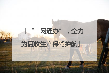 “一网通办”，全力为夏收生产保驾护航