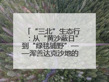 “三北”生态行：从“黄沙蔽日”到“绿毯铺野”——浑善达克沙地的“绿色重生”