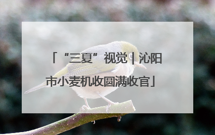 “三夏”视觉｜沁阳市小麦机收圆满收官