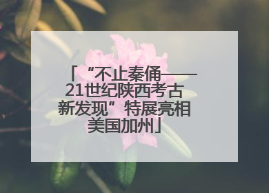 “不止秦俑——21世纪陕西考古新发现”特展亮相美国加州