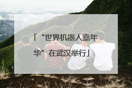 “世界机器人嘉年华”在武汉举行