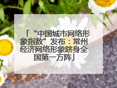 “中国城市网络形象指数”发布：常州经济网络形象跻身全国第一方阵