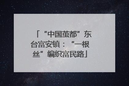 “中国茧都”东台富安镇：“一根丝”编织富民路