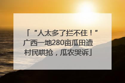 “人太多了拦不住！”广西一地280亩瓜田遭村民哄抢，瓜农哭诉