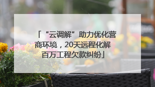 “云调解”助力优化营商环境，20天远程化解百万工程欠款纠纷
