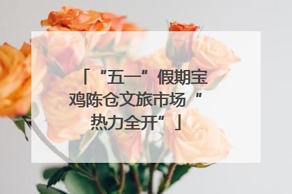“五一”假期宝鸡陈仓文旅市场“热力全开”