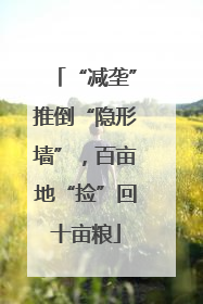 “减垄”推倒“隐形墙”，百亩地“捡”回十亩粮