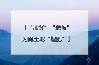 “加餐”“盖被” 为黑土地“增肥”