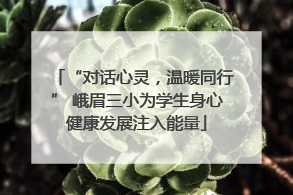 “对话心灵，温暖同行” 峨眉三小为学生身心健康发展注入能量
