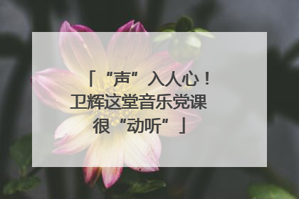 “声”入人心！卫辉这堂音乐党课很“动听”
