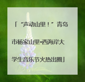 “声动山里！”青岛市杨家山里•西海岸大学生音乐节火热出圈