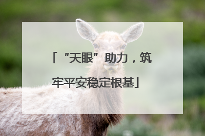 “天眼”助力，筑牢平安稳定根基