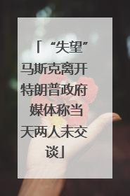 “失望”马斯克离开特朗普政府 媒体称当天两人未交谈
