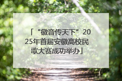 “徽音传天下”2025年首届安徽高校民歌大赛成功举办