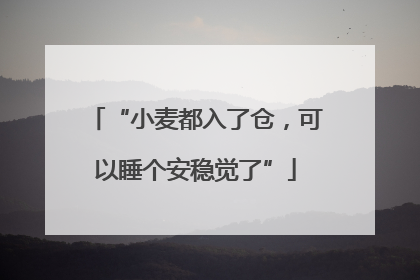 “小麦都入了仓，可以睡个安稳觉了”
