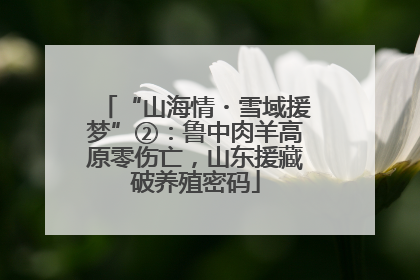 “山海情・雪域援梦”②：鲁中肉羊高原零伤亡，山东援藏破养殖密码