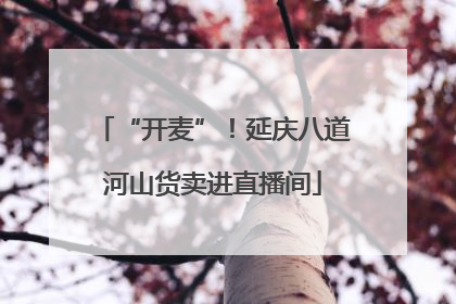 “开麦”！延庆八道河山货卖进直播间