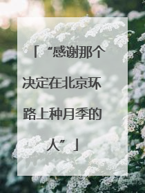 “感谢那个决定在北京环路上种月季的人”
