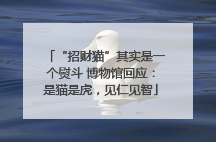 “招财猫”其实是一个熨斗 博物馆回应：是猫是虎，见仁见智