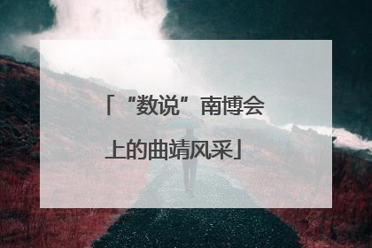 “数说”南博会上的曲靖风采