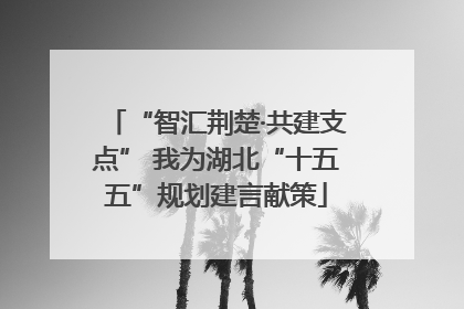 “智汇荆楚·共建支点” 我为湖北“十五五”规划建言献策