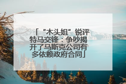 “木头姐”锐评特马交锋：争吵揭开了马斯克公司有多依赖政府合同
