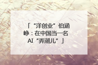 “洋创业”伯涵峥：在中国当一名AI“弄潮儿”