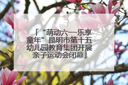 “萌动六一·乐享童年”昆明市第十五幼儿园教育集团开展亲子运动会闭幕