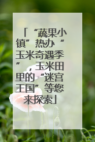“蔬果小镇”热办“玉米奇遇季”，玉米田里的“迷宫王国”等您来探索