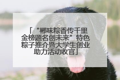 “郴味粽香传千里 金榜题名创未来”特色粽子推介暨大学生创业助力活动收官