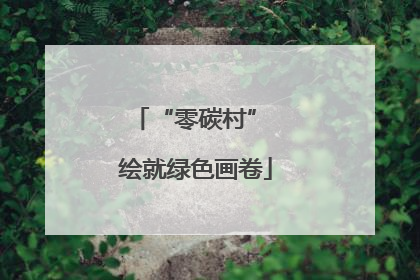 “零碳村” 绘就绿色画卷